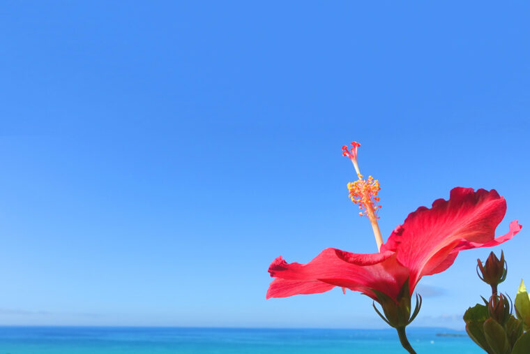 夏休みも稼ぎましょう！！