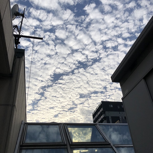 8月もこれまでどおり営業しております😊