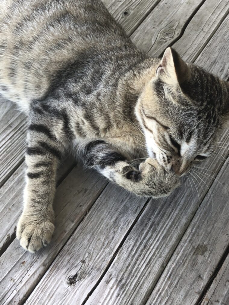 支払いのお金がない。生活費が苦しいなどの不安な方へ