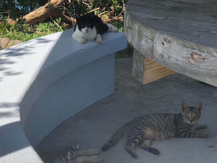 8月の出勤お稼ぎ状況！！