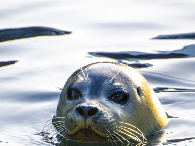 自身のお仕事を振り返ってみよう～その５～