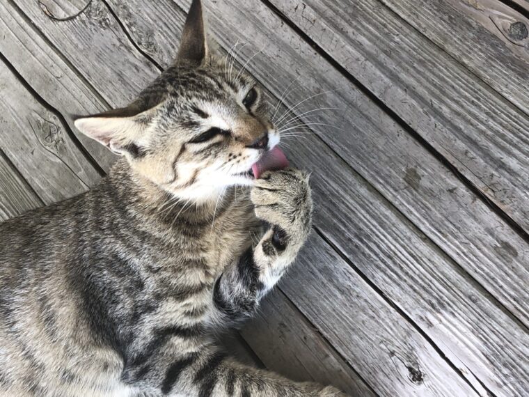 学生さん　９月から始める方急増中・・