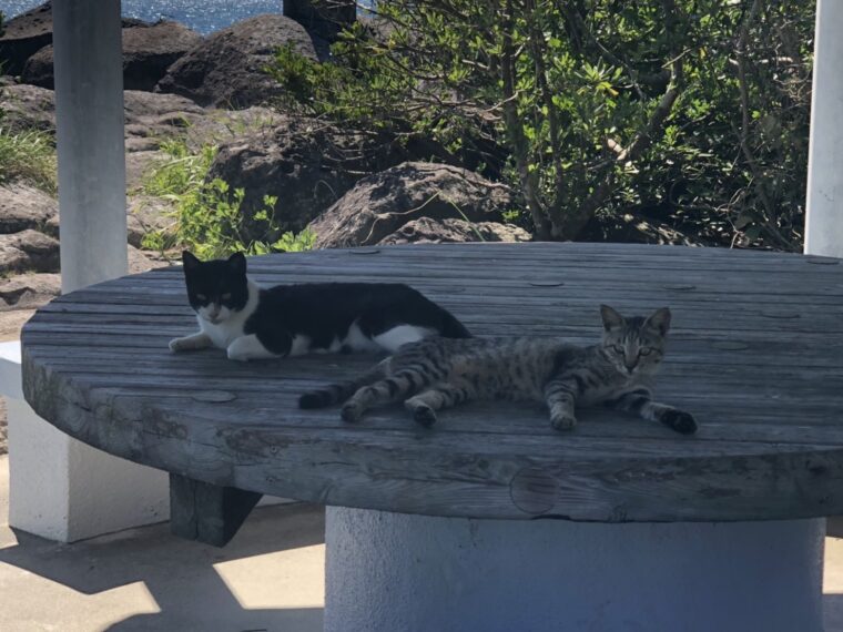 お客さまの数が普段以上に多くなってるんです!!