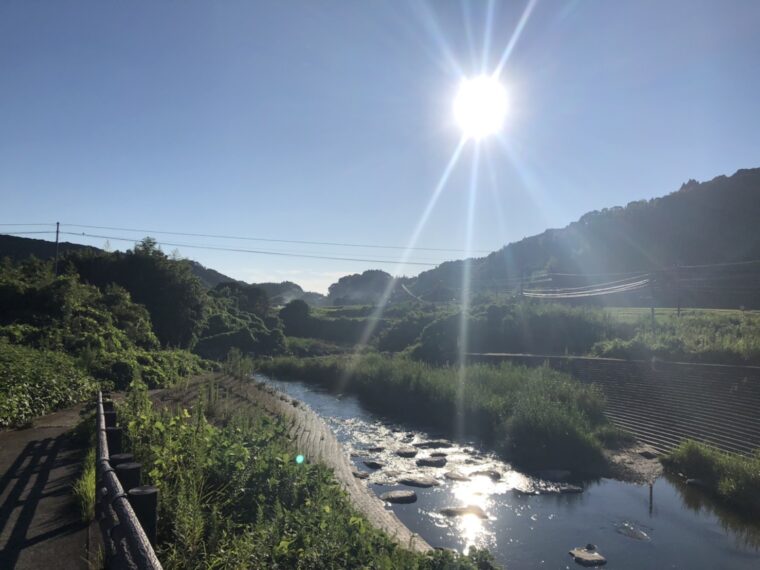 秋ですね！！　8月　月間お稼ぎ情報！！