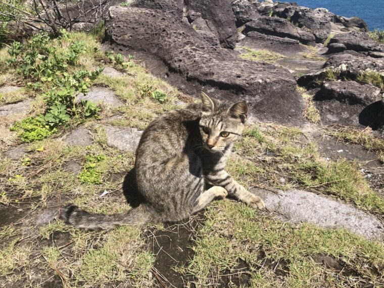何かを始めたい方も、ここ、鹿児島アリス天文館店で！！