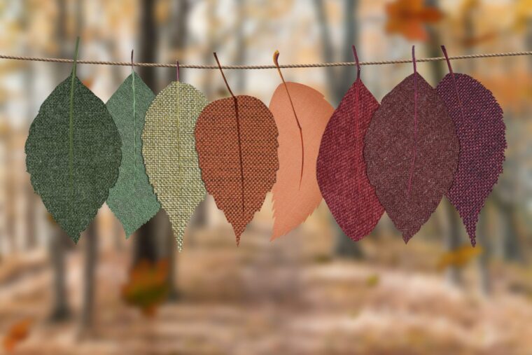 10月始まりました🍁
