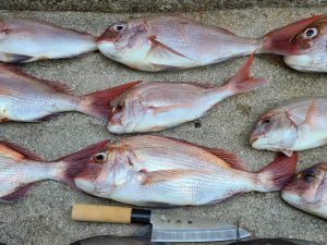 もっともっと沢山の女性にに満足してもらえる様な事務所になり鯛(たい)