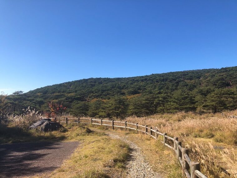 2021年11月12日は最強開運日!!