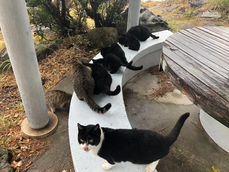 もうすぐ！！　12月にに入りますので！！