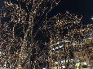 年末年始のボーナスイベントｷﾀ――(ﾟ∀ﾟ)――❕❕