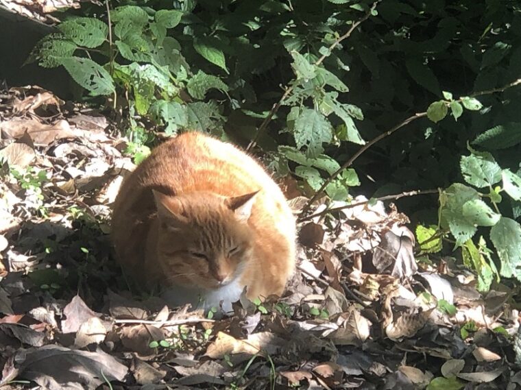 今週からの応募がいいですよ！！