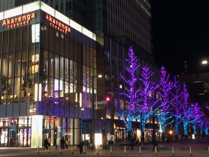 本格的な降雪はまだですね♪