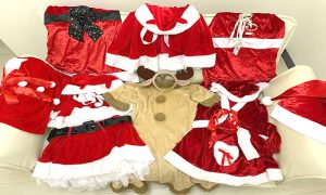 やってきました！クリスマスコスプレの季節です。