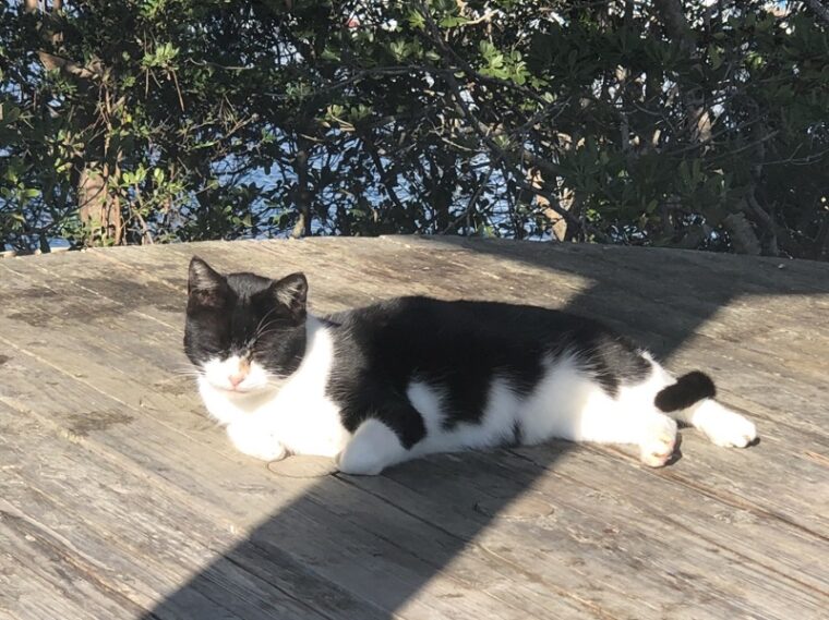 2022年1月11日は最強開運日!!