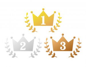 お正月のお稼ぎ結果を発表いたします。