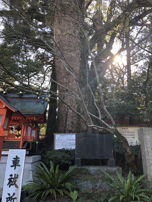 1月の出勤お稼ぎ状況！