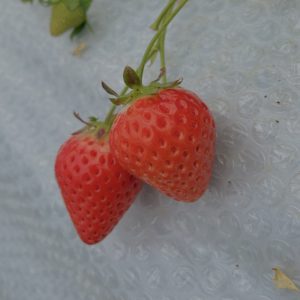 自分に似合う服💄👗