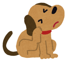 ポリポリ・・・