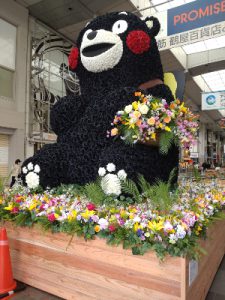 熊本という選択肢