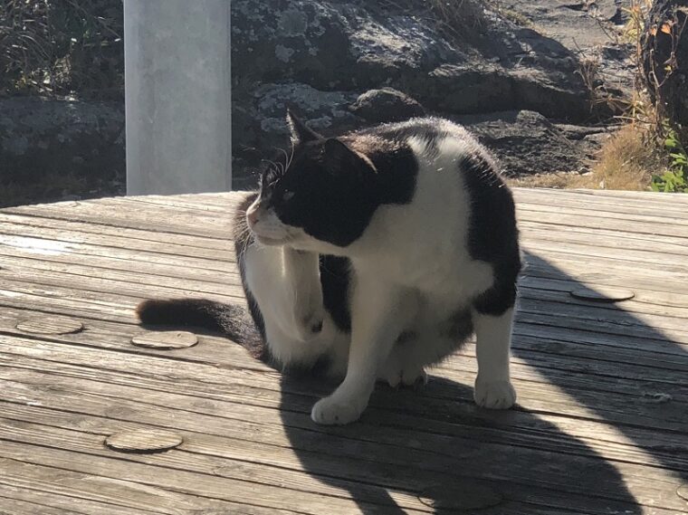 明日からいよいよ全国解除・・　主婦・OL・学生さん応募募集中ですよ！！