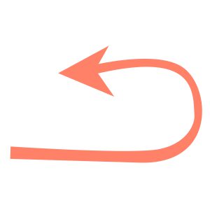 3年ぶりの再会✨