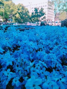 便利な立地です♪