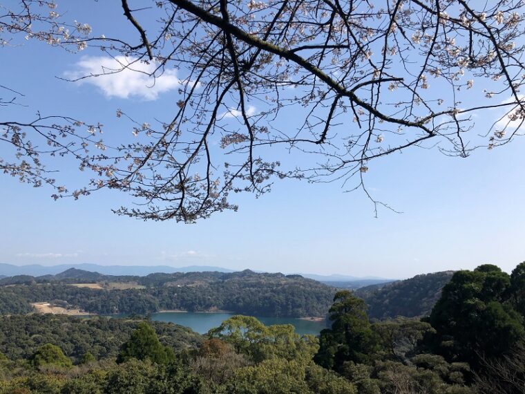 春特別企画ですよ！！