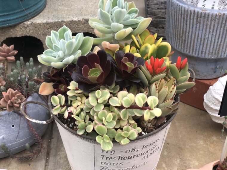 お稼ぎしませんか？