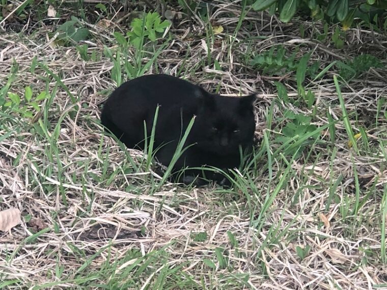 ご応募お待ちしていますm(_ _)m