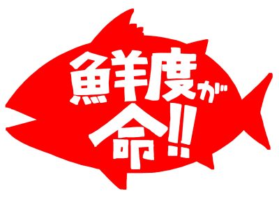 写真も鮮度が命！！！