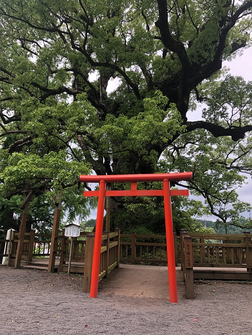お昼間の出勤大募集中！！