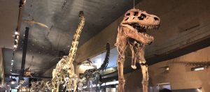 思わぬときこそゆっくりと(´・ω・｀)