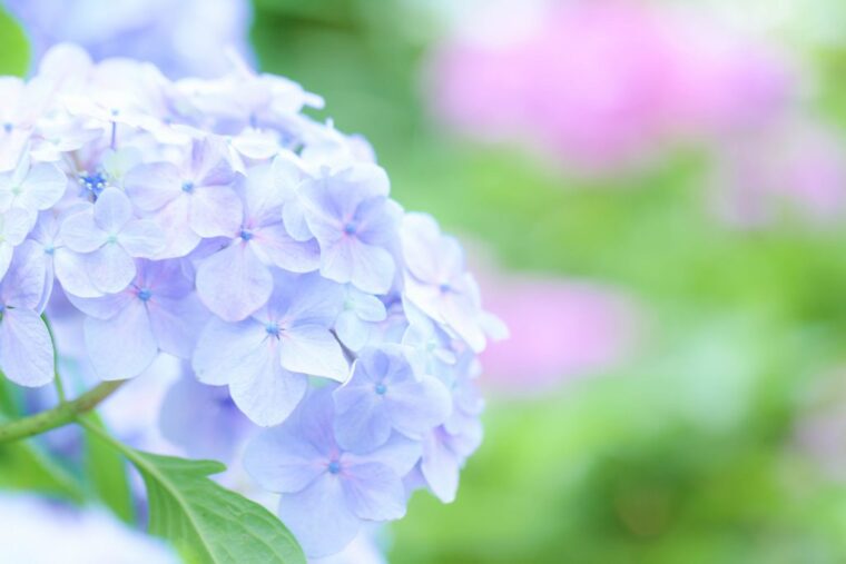 【チャトレ必見】次に繋がるメール術✨