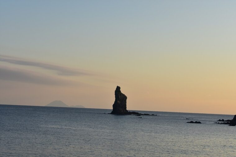 6月新人さん応援企画