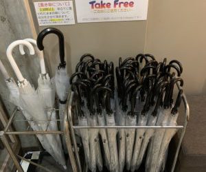 【閲覧注意】集合体恐怖症の方はクリックしないでください【閲覧注意】