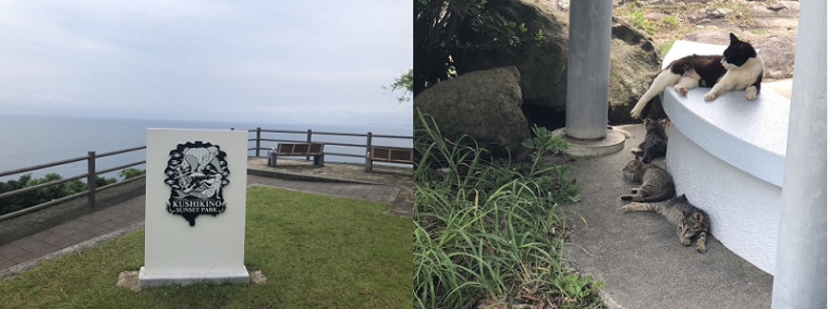 チャットレディのいいところ！！②