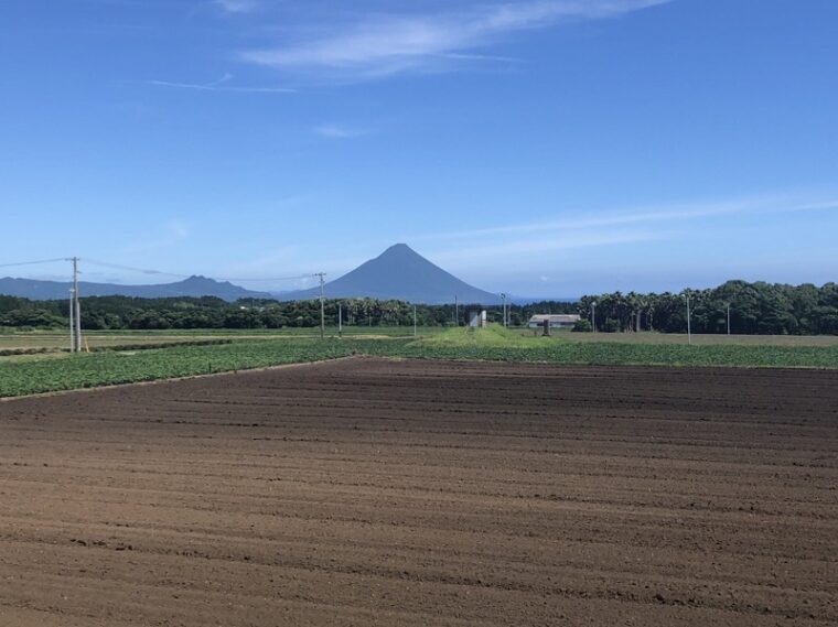 バイト感覚・・　体験だけでも・・