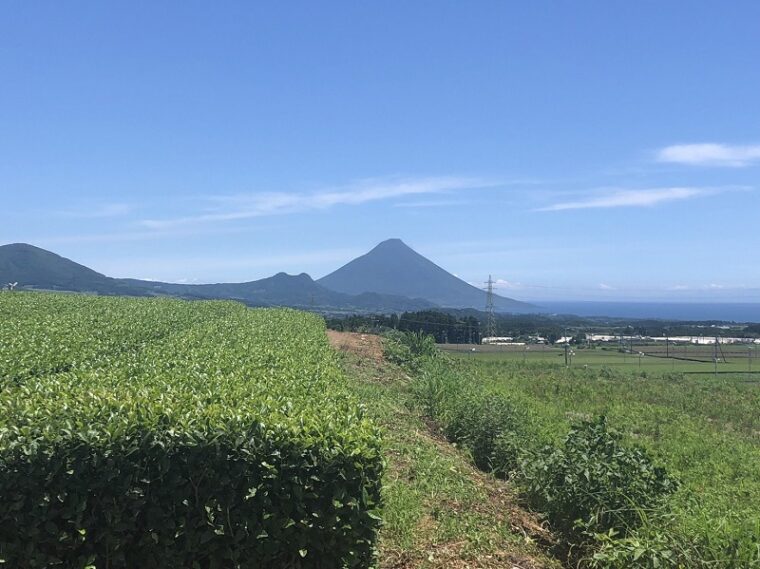 チャットレディのいいところ！！