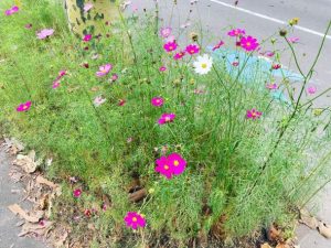 札幌の温泉といえば♨