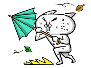 台風一過！シルバーウィークはまだ前半戦！！