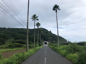 先日は宮崎にて🌞