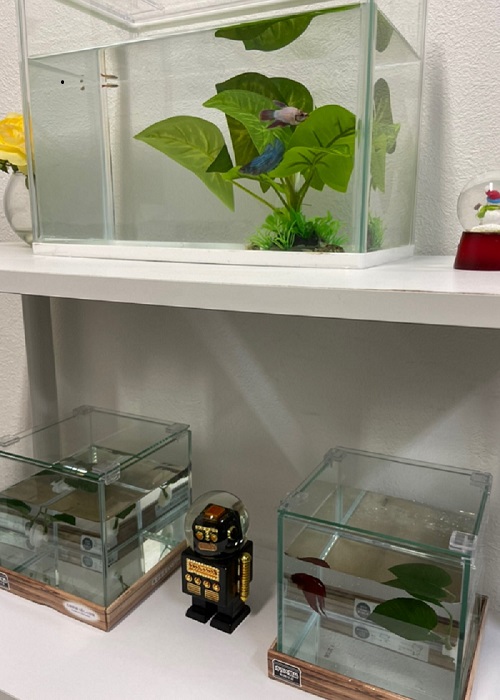 ９月もあと少し🌰🍂