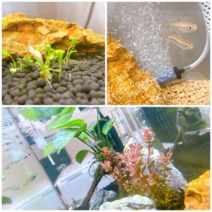 在籍チャトレさんに聞いてみた👂ｸｨ