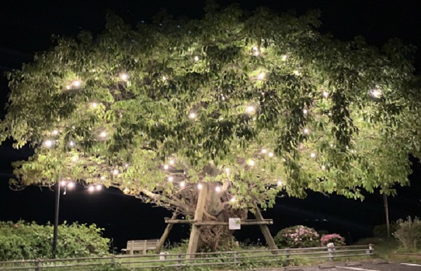 チャットの魅力✨