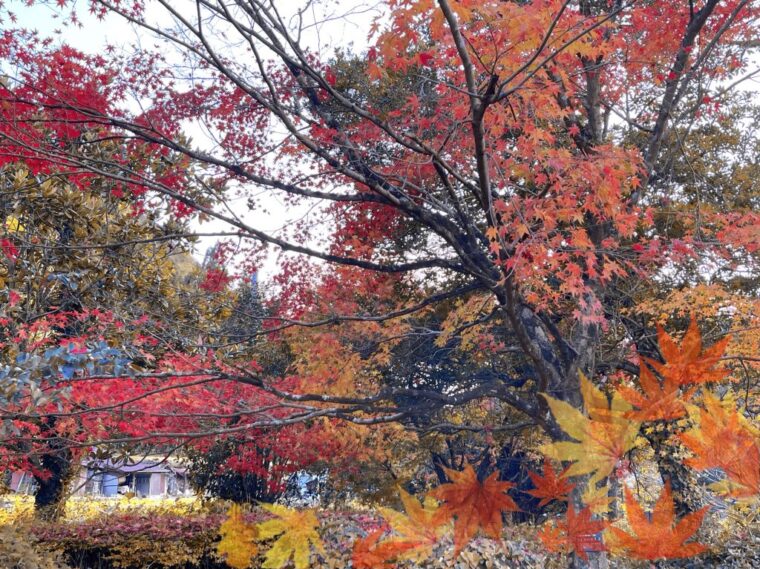 マンネリ化を防ぐためにも！目標大事🔥