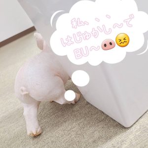 自分を人見知りだと思っている女性でも全然大丈夫(^_-)-☆