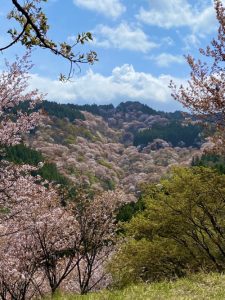 困ったときのお小遣い稼ぎ