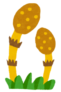 春眠暁を覚えず🌞