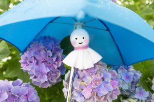 チャットに梅雨など関係ありません。