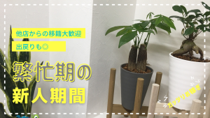 夏本番！新人期間も激アツ！